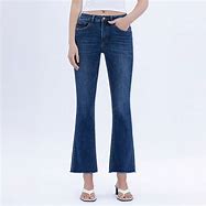 Vervet High Rise Bootcut Curvy Jeans