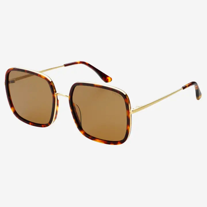 Cosmo Acetate Square Sunglasses